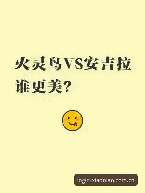 小鸟平台客户端无法下载 vs 手机版登录受阻：创新解决方案全面对比
